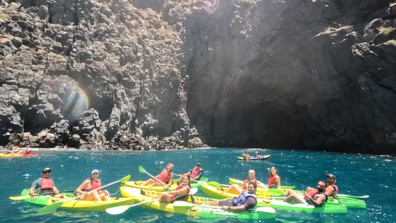 Kayak with dolphins and turtles in Tenerife